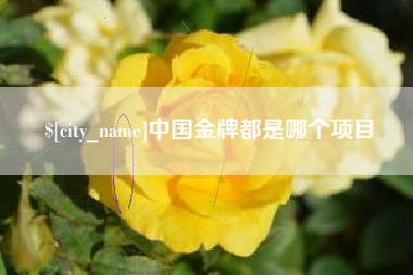 黄冈中国金牌都是哪个项目