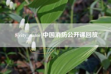 黄冈中国消防公开课回放