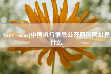 黄冈中国执行信息公开网的网址是什么