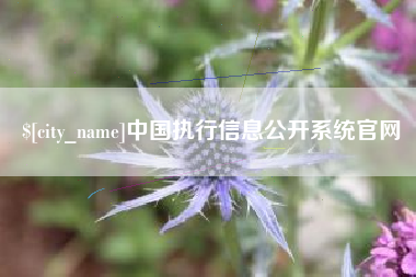 黄冈中国执行信息公开系统官网