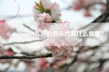 黄冈九宫的数字代表什么意思？