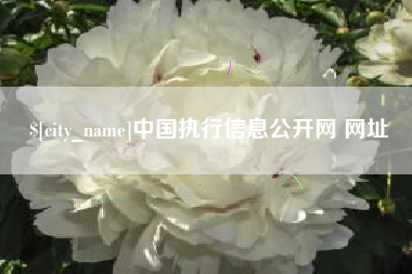 黄冈中国执行信息公开网 网址