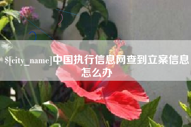 黄冈中国执行信息网查到立案信息怎么办