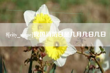 黄冈我国消防日是几月几日几日