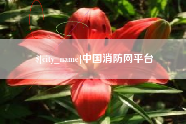 黄冈中国消防网平台