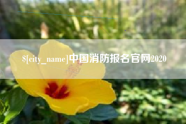黄冈中国消防报名官网2020