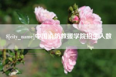 黄冈中国消防救援学院招生人数