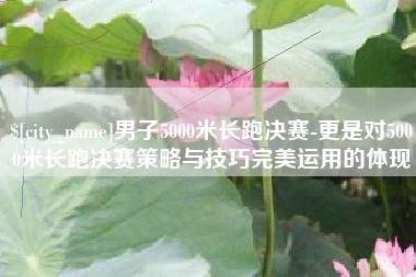 黄冈男子5000米长跑决赛-更是对5000米长跑决赛策略与技巧完美运用的体现