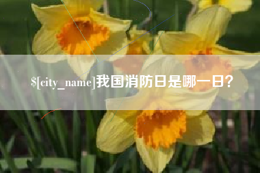 黄冈我国消防日是哪一日？