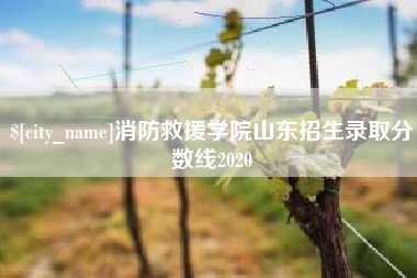 黄冈消防救援学院山东招生录取分数线2020