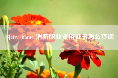 黄冈消防职业资格证书怎么查询
