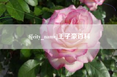 黄冈王子豪百科