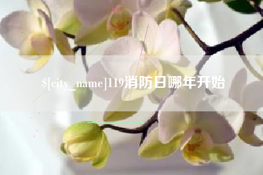 黄冈119消防日哪年开始