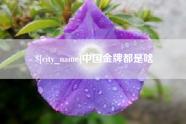 黄冈中国金牌都是啥