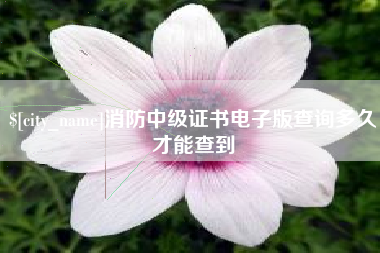 黄冈消防中级证书电子版查询多久才能查到