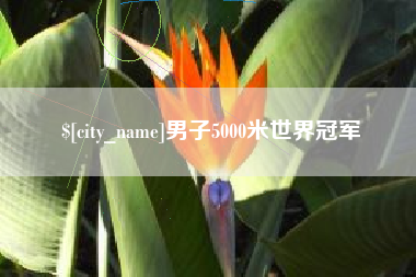 黄冈男子5000米世界冠军