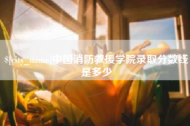 黄冈中国消防救援学院录取分数线是多少