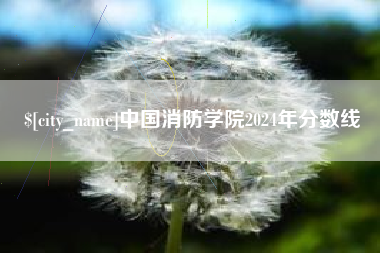 黄冈中国消防学院2024年分数线