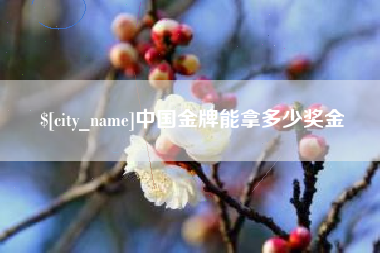 黄冈中国金牌能拿多少奖金