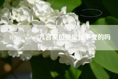 黄冈九宫星位是定位不变的吗
