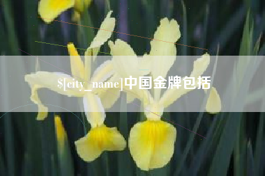 黄冈中国金牌包括