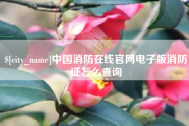 黄冈中国消防在线官网电子版消防证怎么查询
