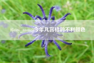 黄冈今年九宫格的不利颜色