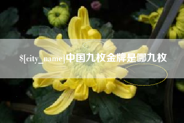 黄冈中国九枚金牌是哪九枚