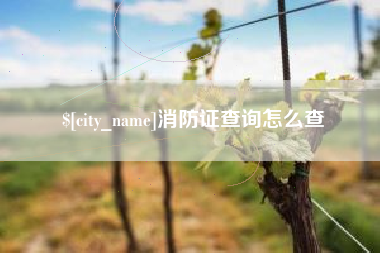 黄冈消防证查询怎么查
