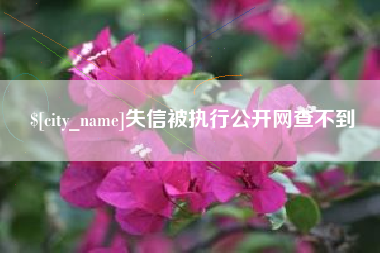 黄冈失信被执行公开网查不到