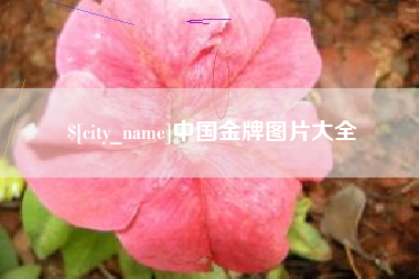 黄冈中国金牌图片大全