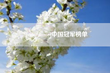 黄冈中国冠军榜单