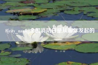 黄冈全国消防日是从哪年发起的