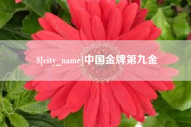 黄冈中国金牌第九金
