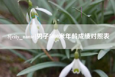 黄冈男子5000米年龄成绩对照表