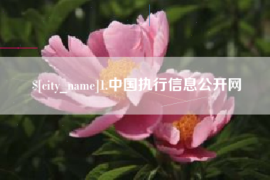 黄冈1.中国执行信息公开网