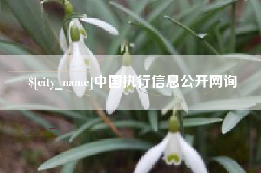 黄冈中国执行信息公开网询