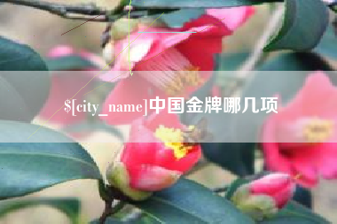 黄冈中国金牌哪几项
