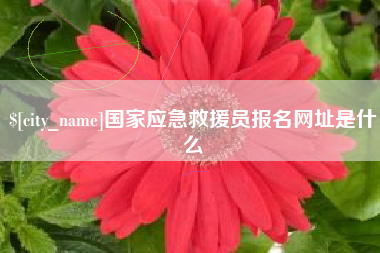 黄冈国家应急救援员报名网址是什么