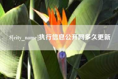 黄冈执行信息公开网多久更新