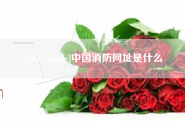 黄冈中国消防网址是什么
