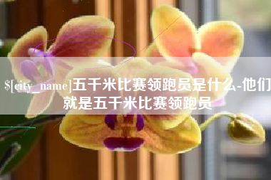 黄冈五千米比赛领跑员是什么-他们就是五千米比赛领跑员