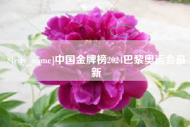 黄冈中国金牌榜2024巴黎奥运会最新