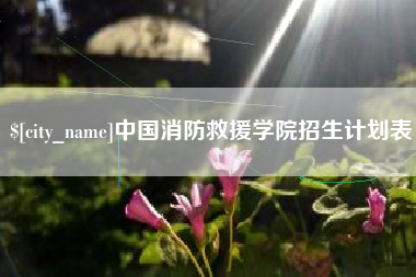 黄冈中国消防救援学院招生计划表
