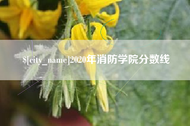 黄冈2020年消防学院分数线