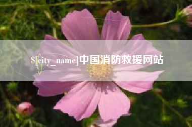 黄冈中国消防救援网站