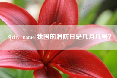 黄冈我国的消防日是几月几号？