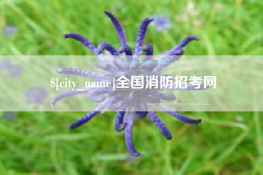 黄冈全国消防招考网