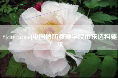 黄冈中国消防救援学院山东选科要求
