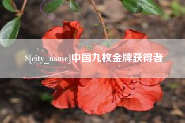 黄冈中国九枚金牌获得者